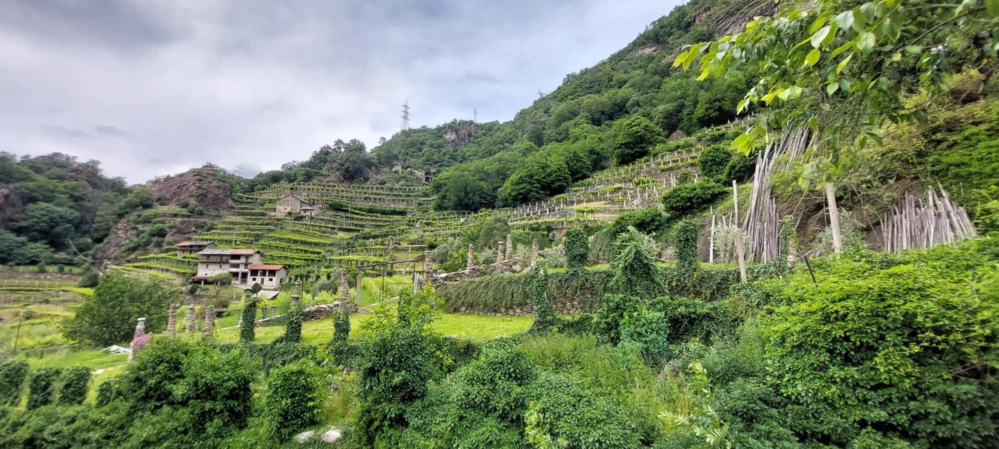 Bed and breakfast Relais Del Brigante Settimo Vittone