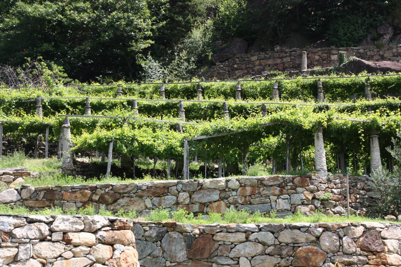 Relais Del Brigante * Settimo Vittone